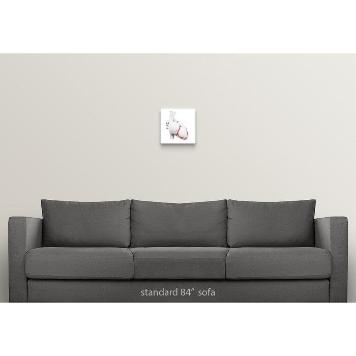 Coronary arteries, artwork - Multi