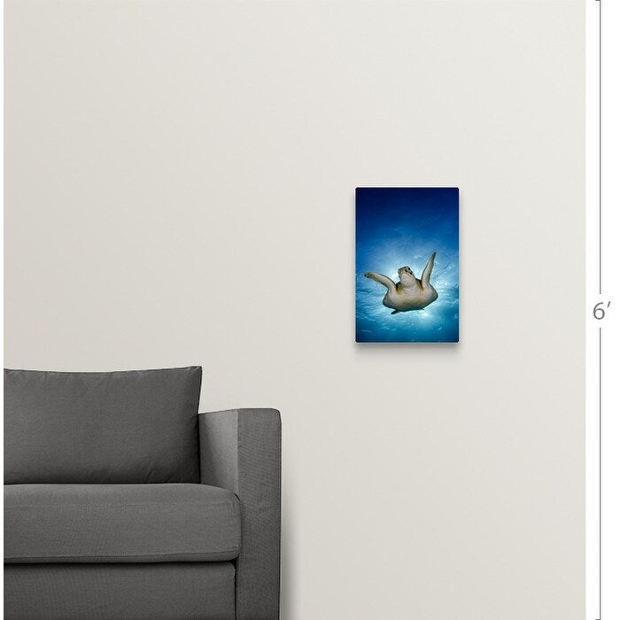 "Green turtle, Cancun, Mexico" Canvas Wall Art