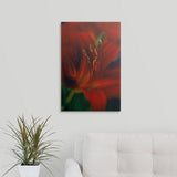 Premium Thick-Wrap Canvas entitled Hemerocallis var. Stafford (Day lily), close up of red flower with protruding