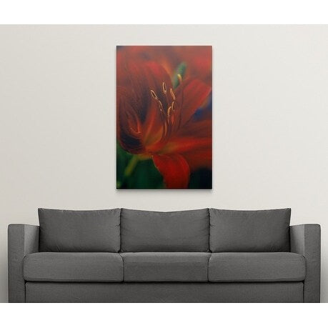 Premium Thick-Wrap Canvas entitled Hemerocallis var. Stafford (Day lily), close up of red flower with protruding