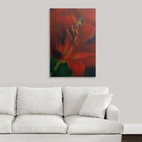 Premium Thick-Wrap Canvas entitled Hemerocallis var. Stafford (Day lily), close up of red flower with protruding