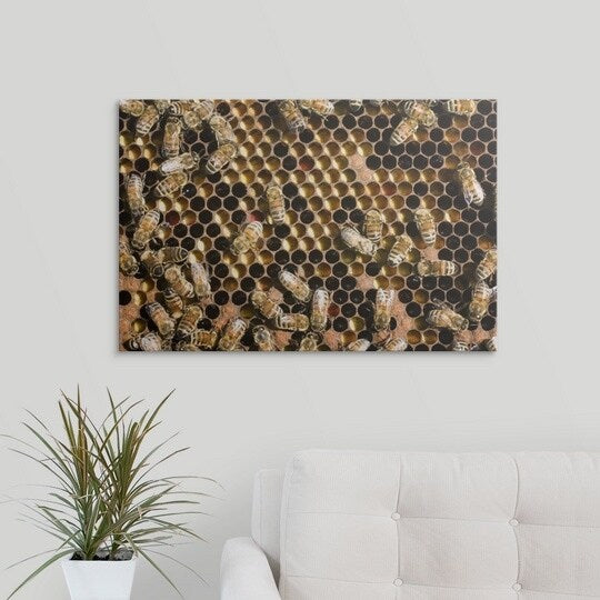 Premium Thick-Wrap Canvas entitled Honey bees (Apis) in hive