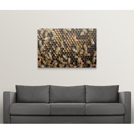 Premium Thick-Wrap Canvas entitled Honey bees (Apis) in hive