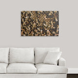 Premium Thick-Wrap Canvas entitled Honey bees (Apis) in hive