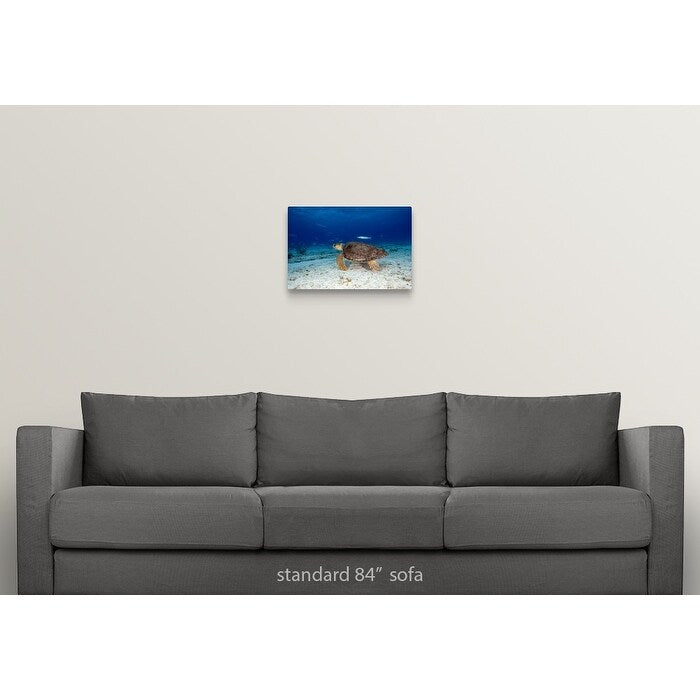 "Loggerhead Sea Turtle" Canvas Wall Art