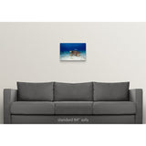 "Loggerhead Sea Turtle" Canvas Wall Art