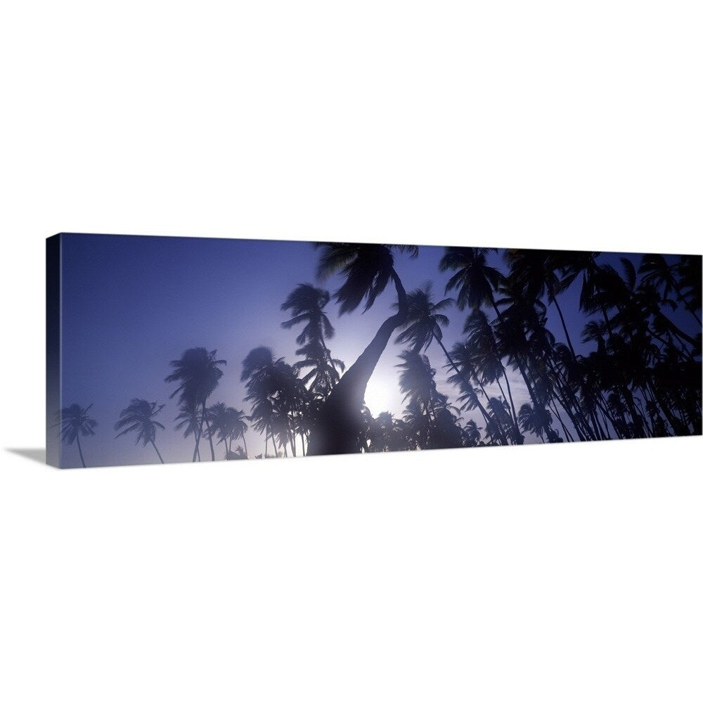 "Palm trees, Molokai, Hawaii" Canvas Wall Art