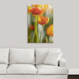 Premium Thick-Wrap Canvas entitled Papaver (orange poppy heads in sunlight)