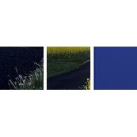 Premium Thick-Wrap Canvas entitled Paved road along fields in bloom in countryside, Vallby Skane, Sweden