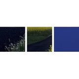 Premium Thick-Wrap Canvas entitled Paved road along fields in bloom in countryside, Vallby Skane, Sweden