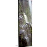 "Proxy Falls, Three Sisters Wilderness Area, Willamette National Forest, Oregon" Canvas Wall Art