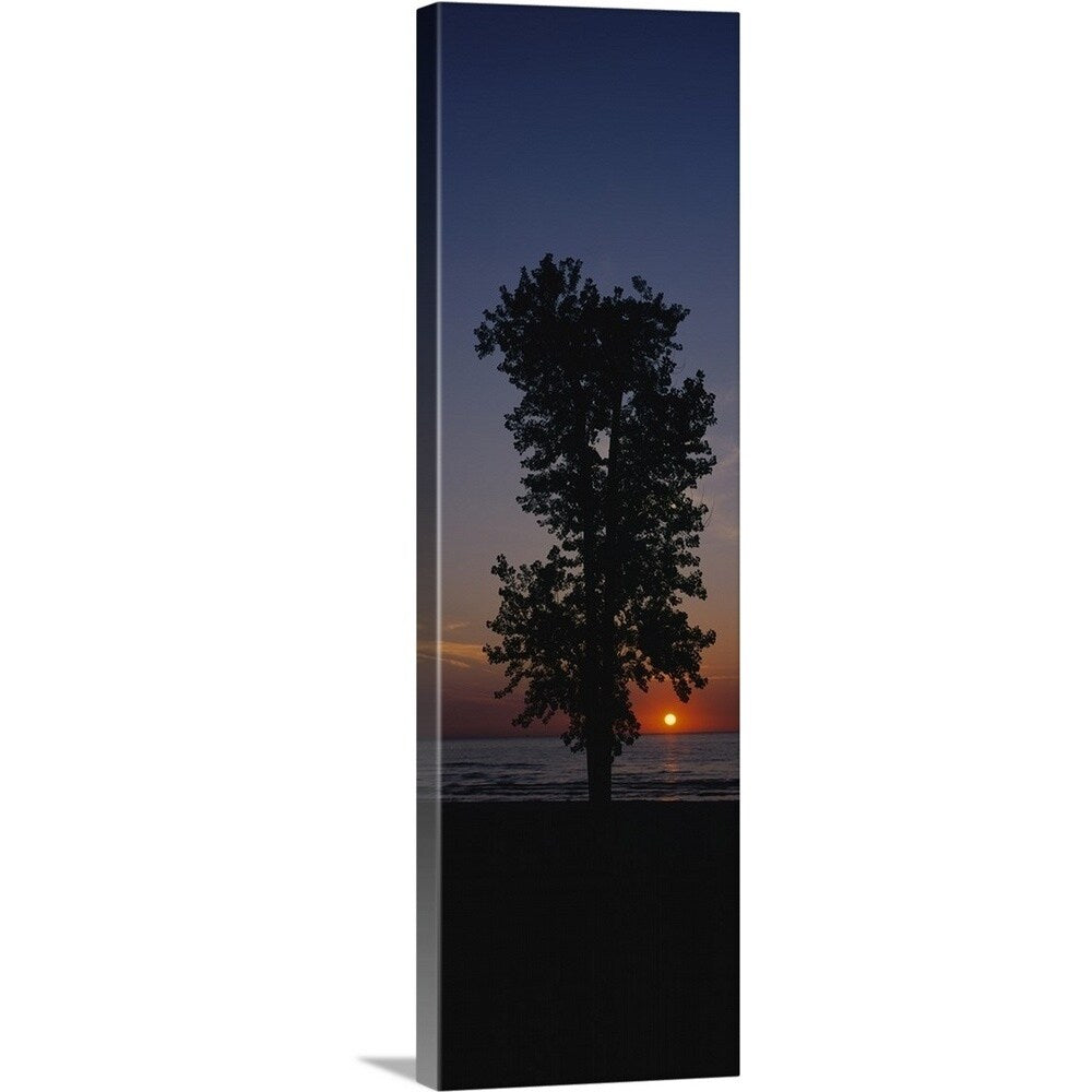 "Silhouette of a cotton wood tree at sunrise, Lake Erie, Michigan" Canvas Wall Art
