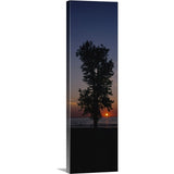"Silhouette of a cotton wood tree at sunrise, Lake Erie, Michigan" Canvas Wall Art