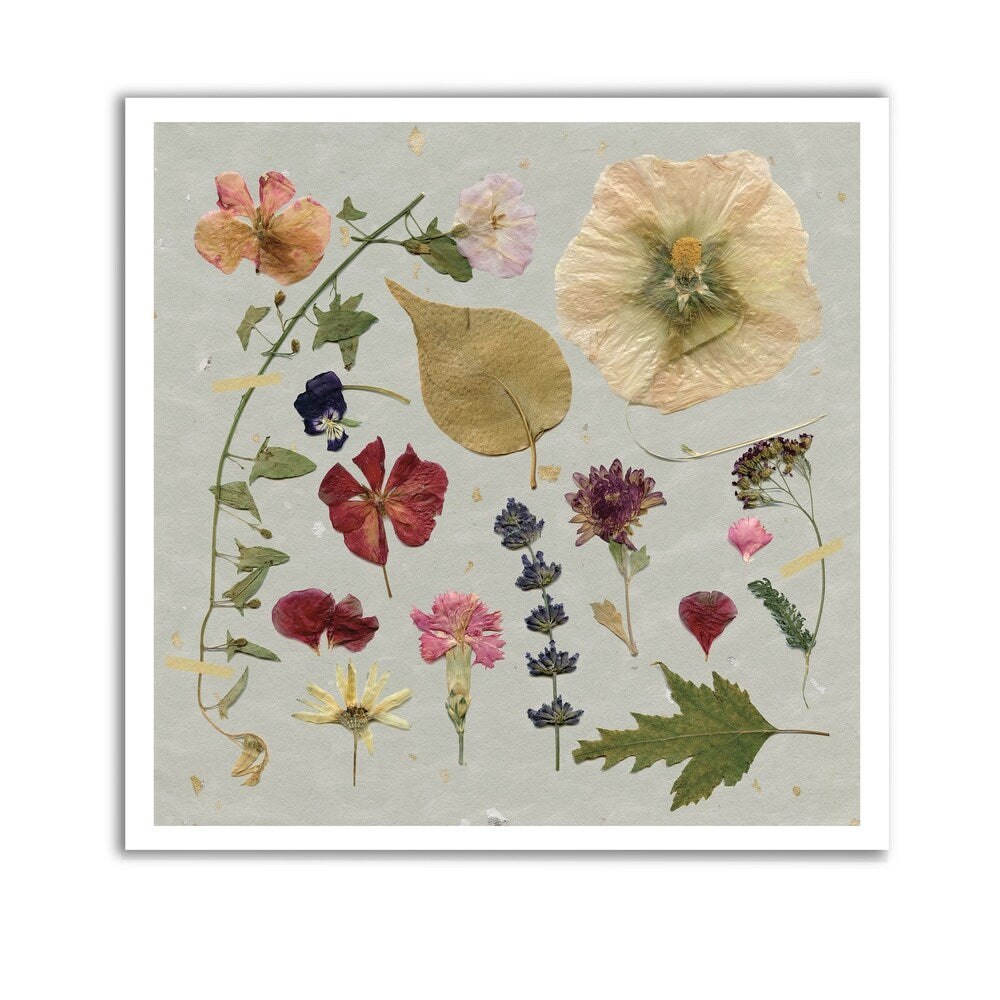 Pressed Assortment I -Gallery Wrapped Canvas - yellow, blue, green, red, black, white
