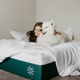 Priage by ZINUS 12 Inch Cooling Gel Memory Foam Mattress