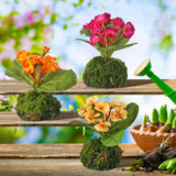 Primrose Moss Mound 9" Set of 3