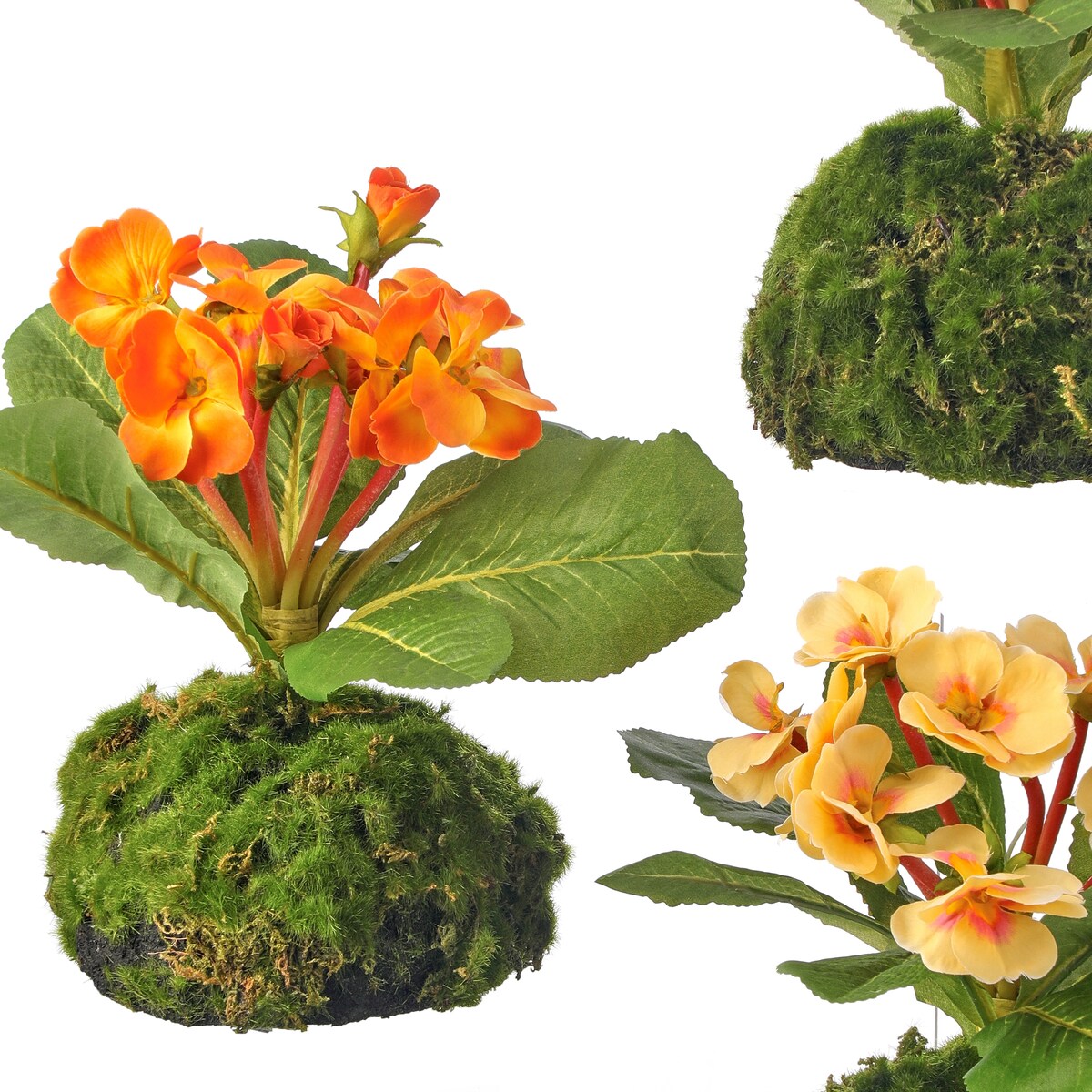 Primrose Moss Mound 9" Set of 3