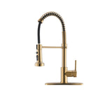 Professional Kitchen Sink Faucet