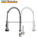 Professional Kitchen Sink Faucet