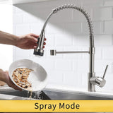 Professional Kitchen Sink Faucet