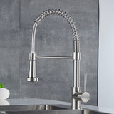 Professional Kitchen Sink Faucet