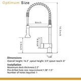 Professional Kitchen Sink Faucet