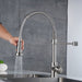 Professional Kitchen Sink Faucet