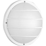 1-Light White Ribbed Polycarbonate Outdoor 10" Wall/Ceiling Mount