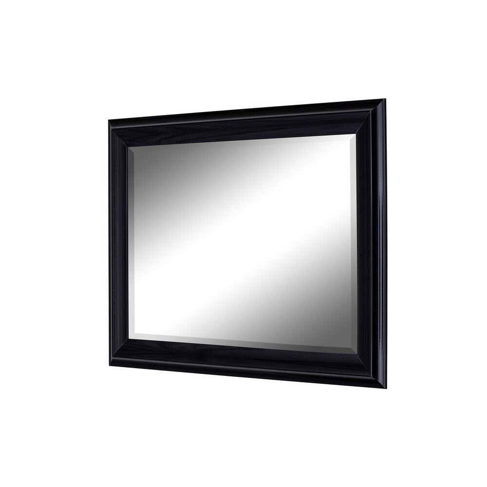 Hitchcock Butterfield Provost Large Black Modern Mirror