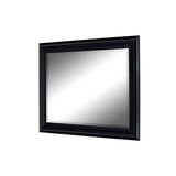 Hitchcock Butterfield Provost Large Black Modern Mirror
