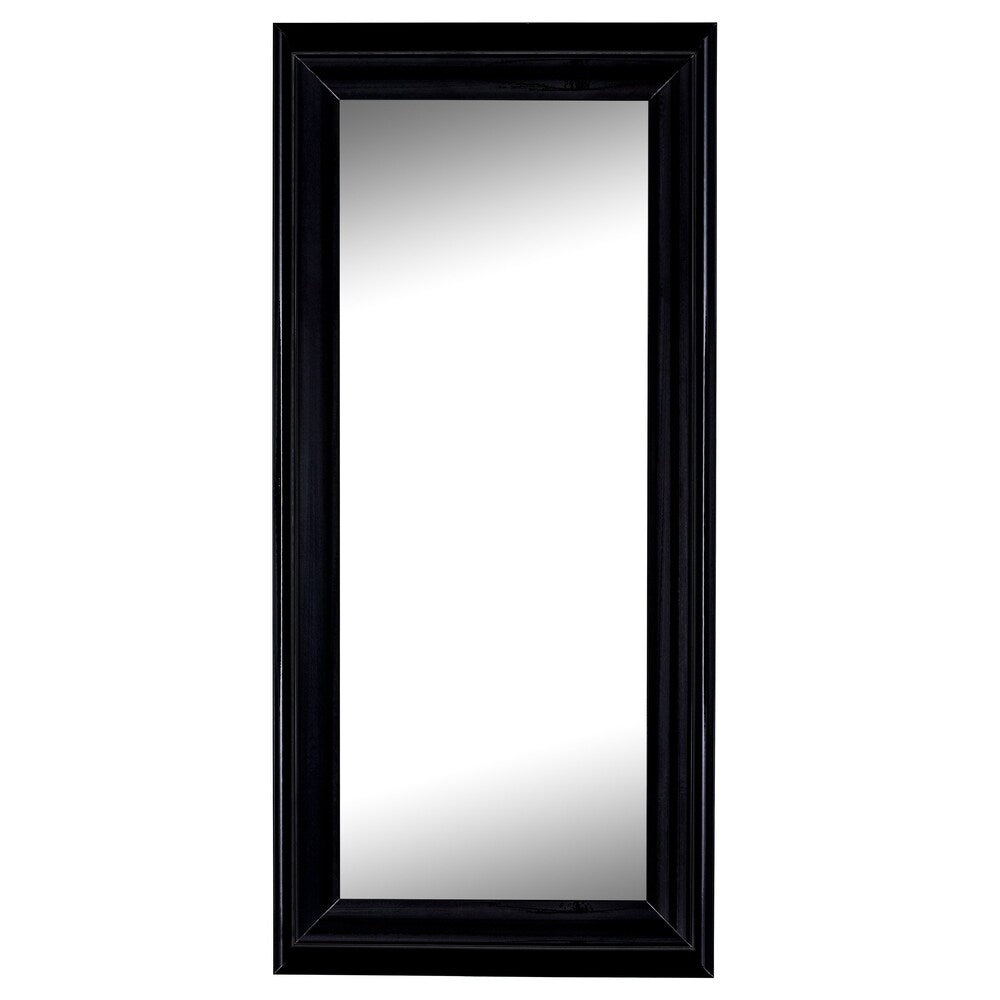 Hitchcock Butterfield Provost Large Black Modern Mirror