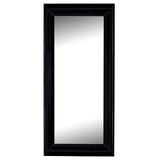 Hitchcock Butterfield Provost Large Black Modern Mirror