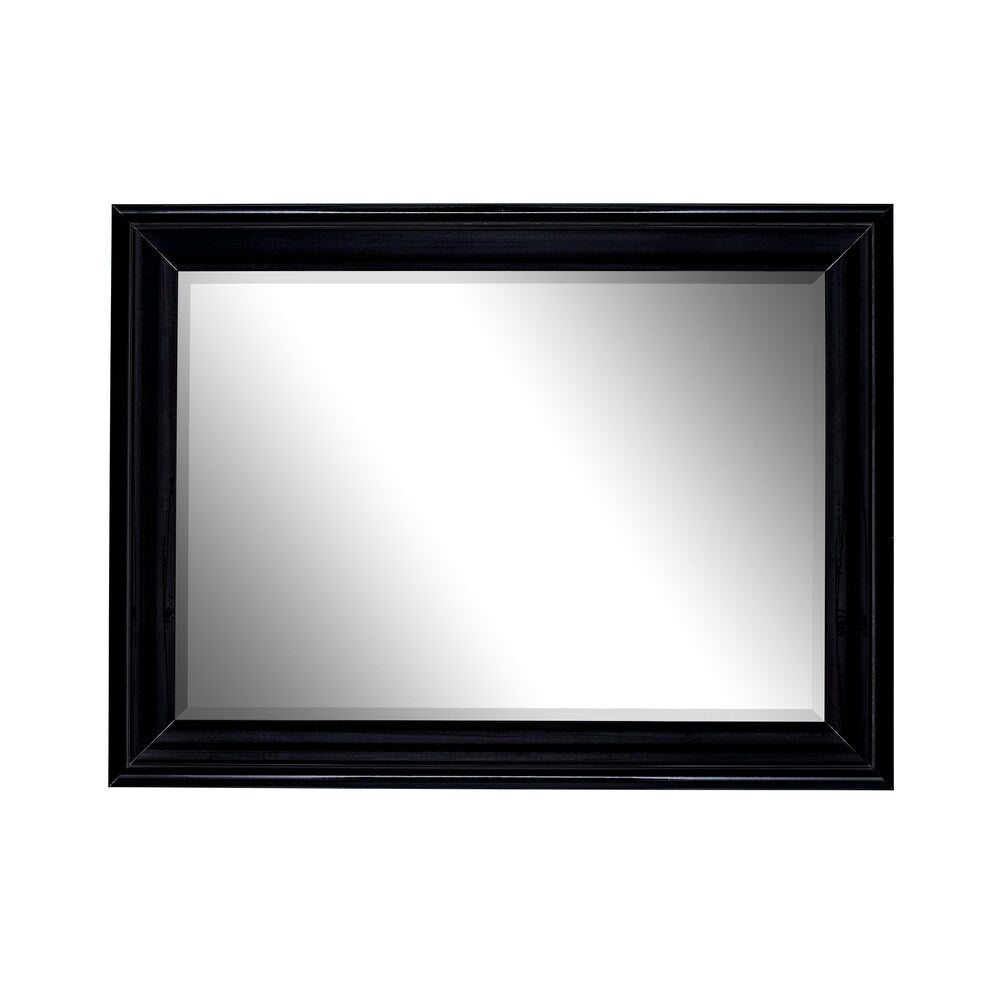 Hitchcock Butterfield Provost Large Black Modern Mirror