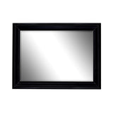 Hitchcock Butterfield Provost Large Black Modern Mirror