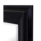 Hitchcock Butterfield Provost Large Black Modern Mirror