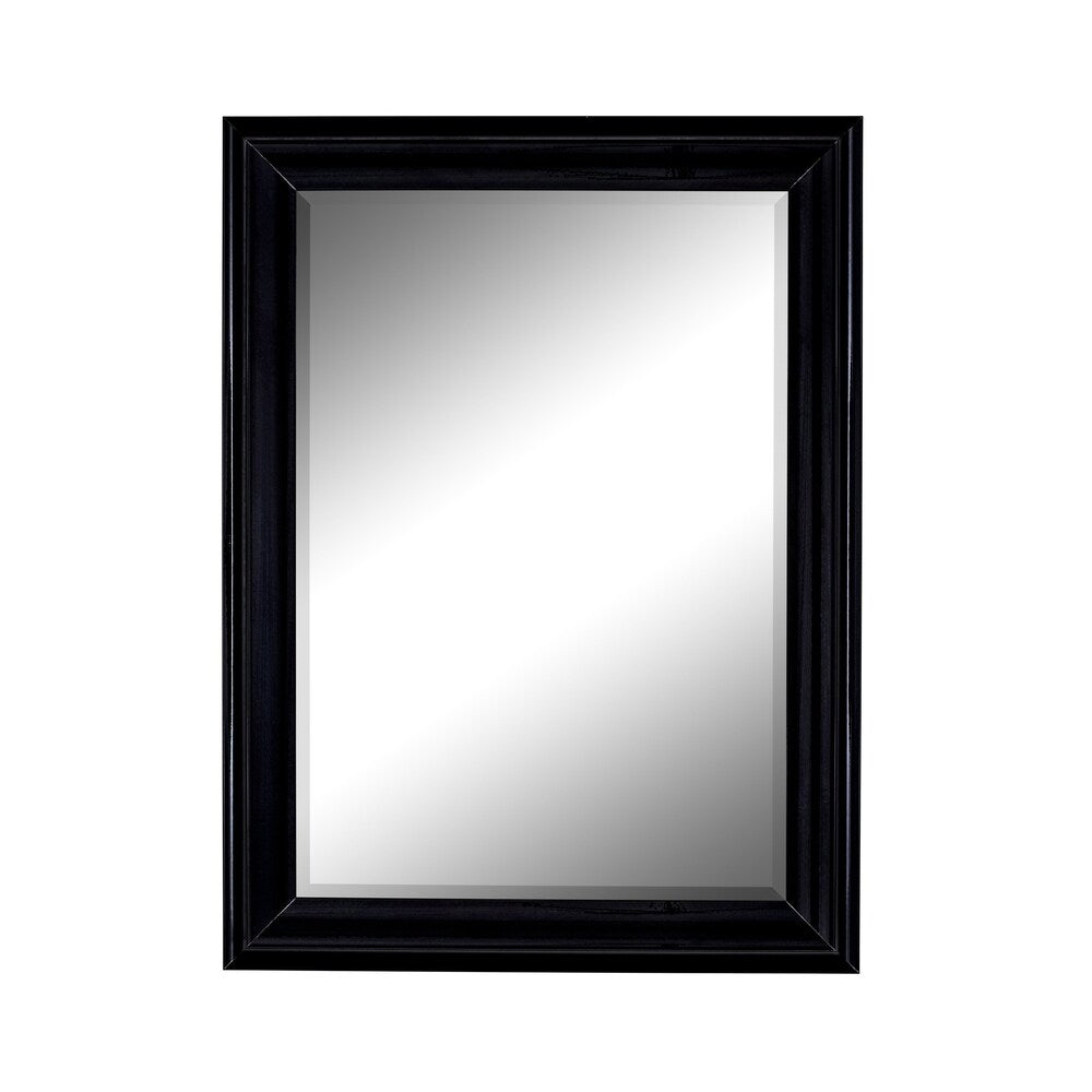 Hitchcock Butterfield Provost Large Black Modern Mirror