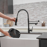 Pull Down Kitchen Faucet with Sprayer