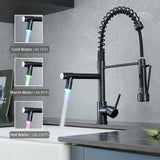 Pull Down Kitchen Faucet with Sprayer
