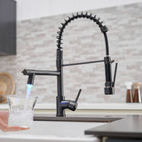 Pull Down Kitchen Faucet with Sprayer
