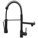 Pull Down Kitchen Faucet with Sprayer