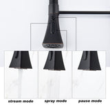Pull Down Kitchen Faucet with Sprayer