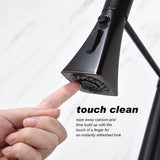 Pull Down Kitchen Faucet with Sprayer