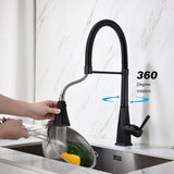 Pull Down Kitchen Faucet with Sprayer