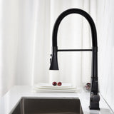 Pull Down Kitchen Faucet with Sprayer