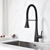 Pull Down Kitchen Faucet with Sprayer