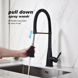 Pull Down Kitchen Faucet with Sprayer