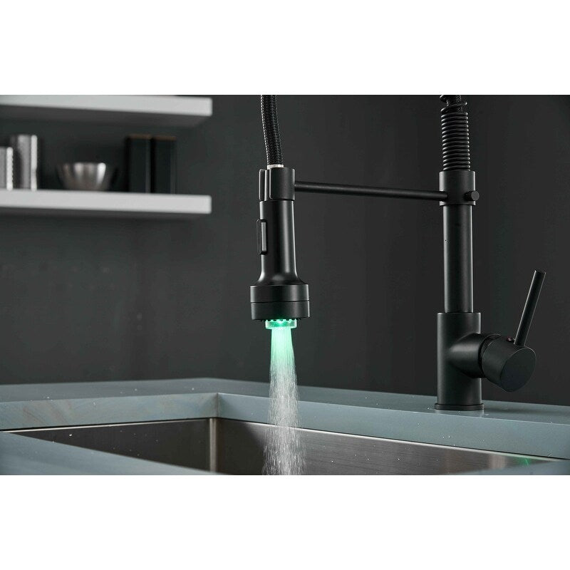 Pull Down Spray Swivel Kitchen Faucet w/LED 2 Spout