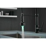 Pull Down Spray Swivel Kitchen Faucet w/LED 2 Spout