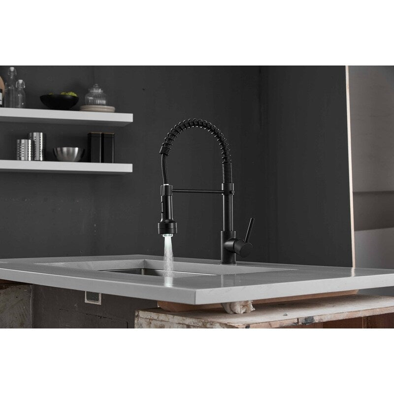 Pull Down Spray Swivel Kitchen Faucet w/LED 2 Spout