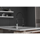 Pull Down Spray Swivel Kitchen Faucet w/LED 2 Spout